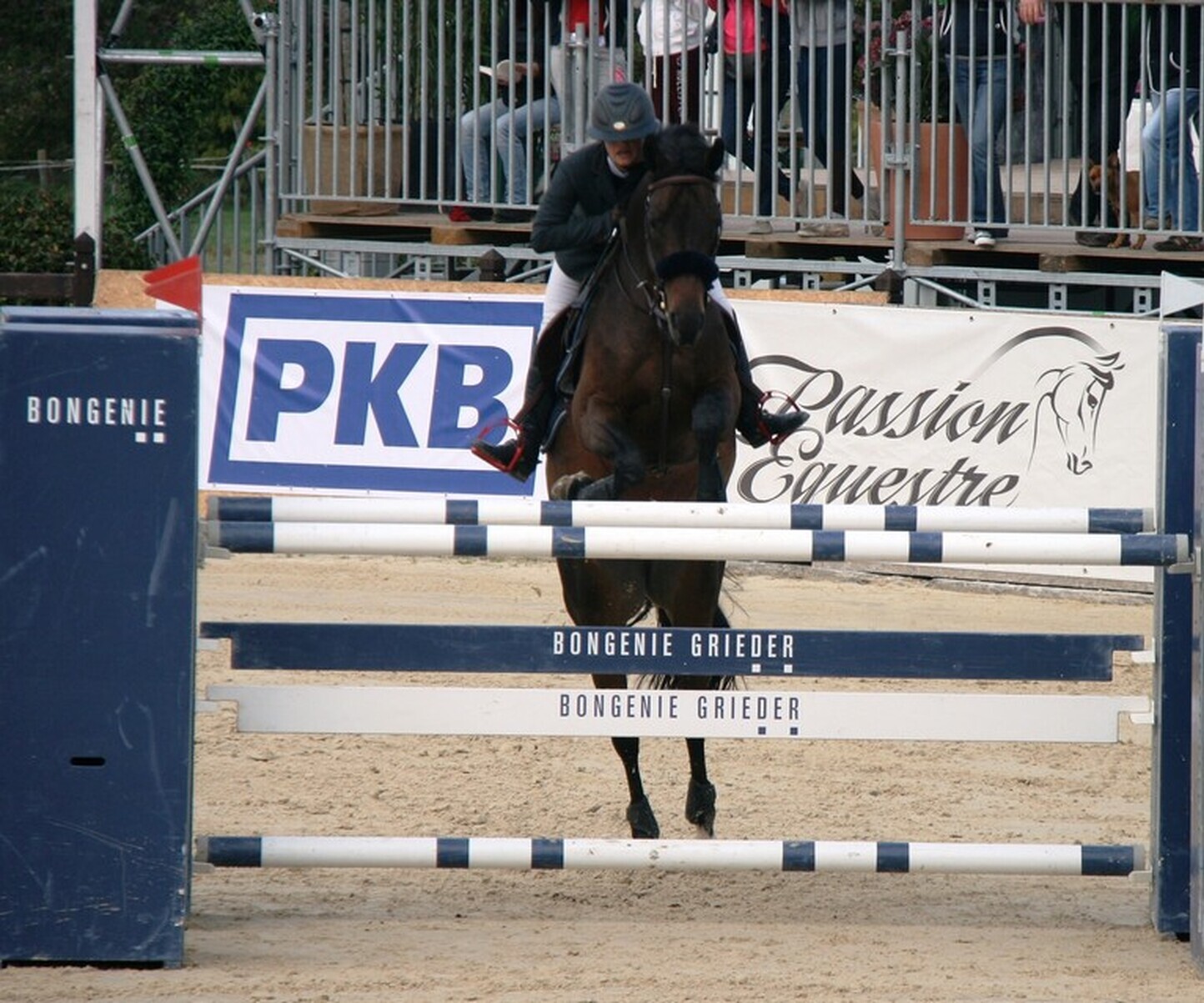 Description de l'image