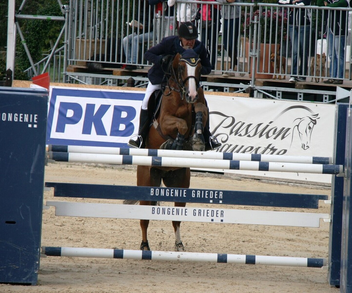 Description de l'image