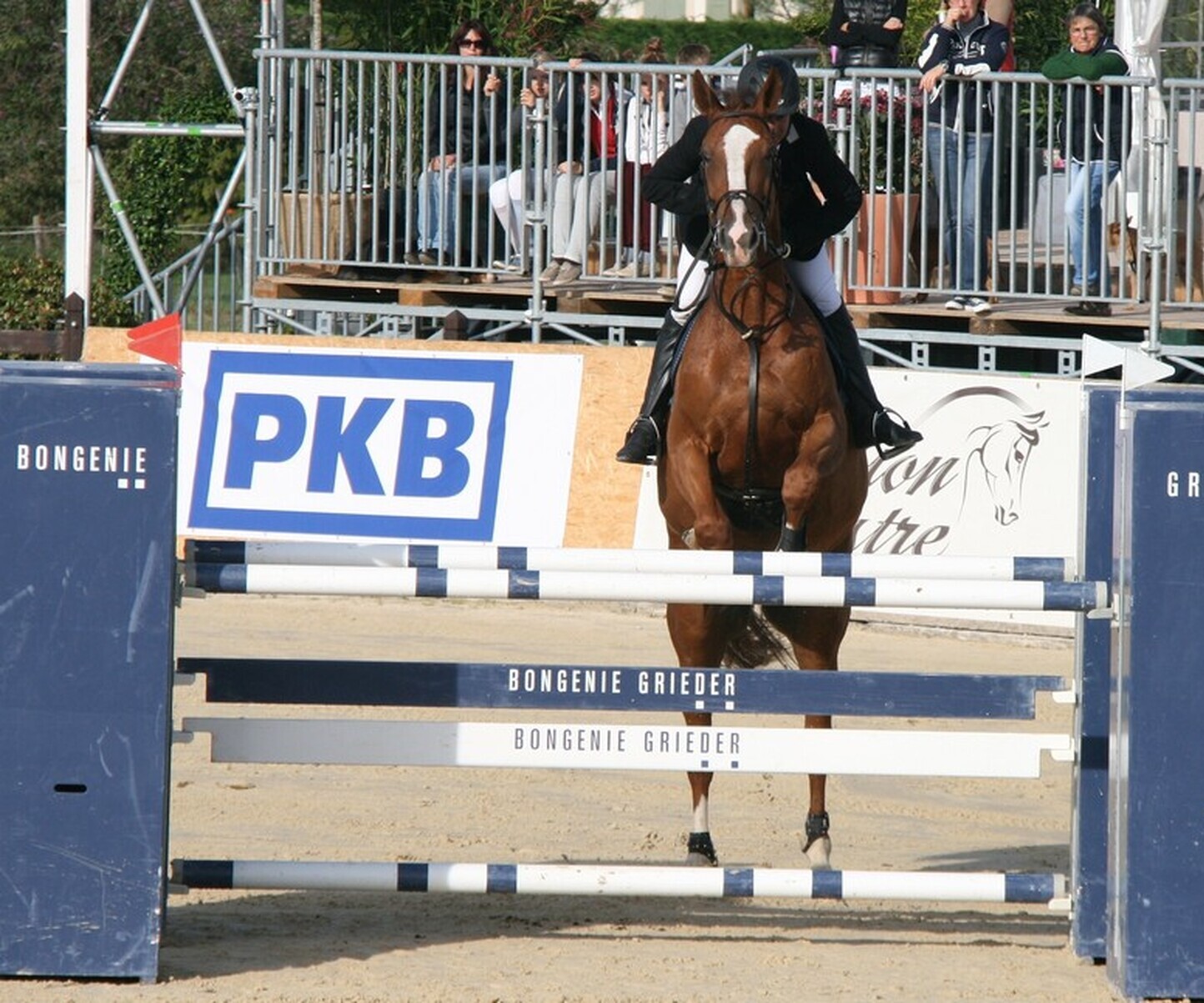 Description de l'image