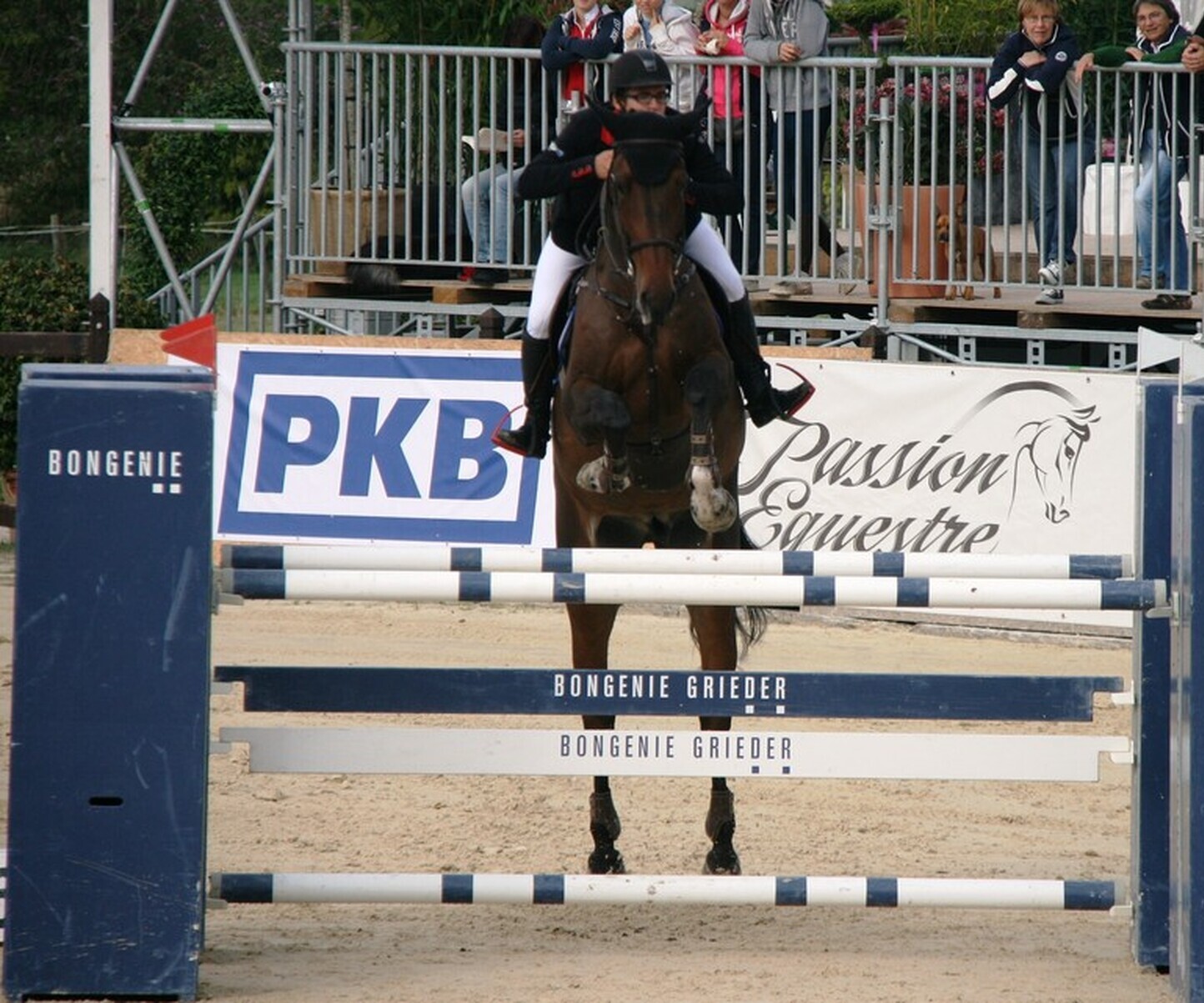 Description de l'image