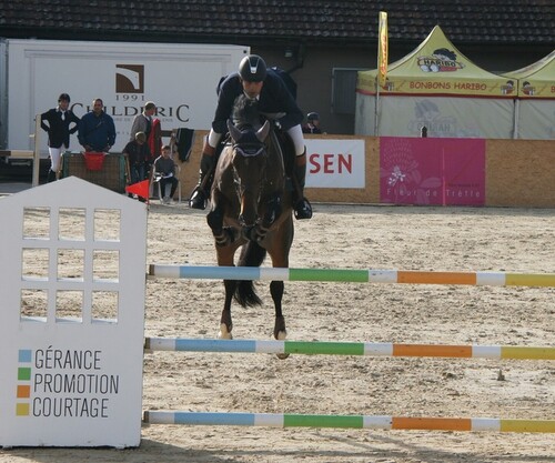 Finale Nationaux Genevoise de Saut Jussy 2013