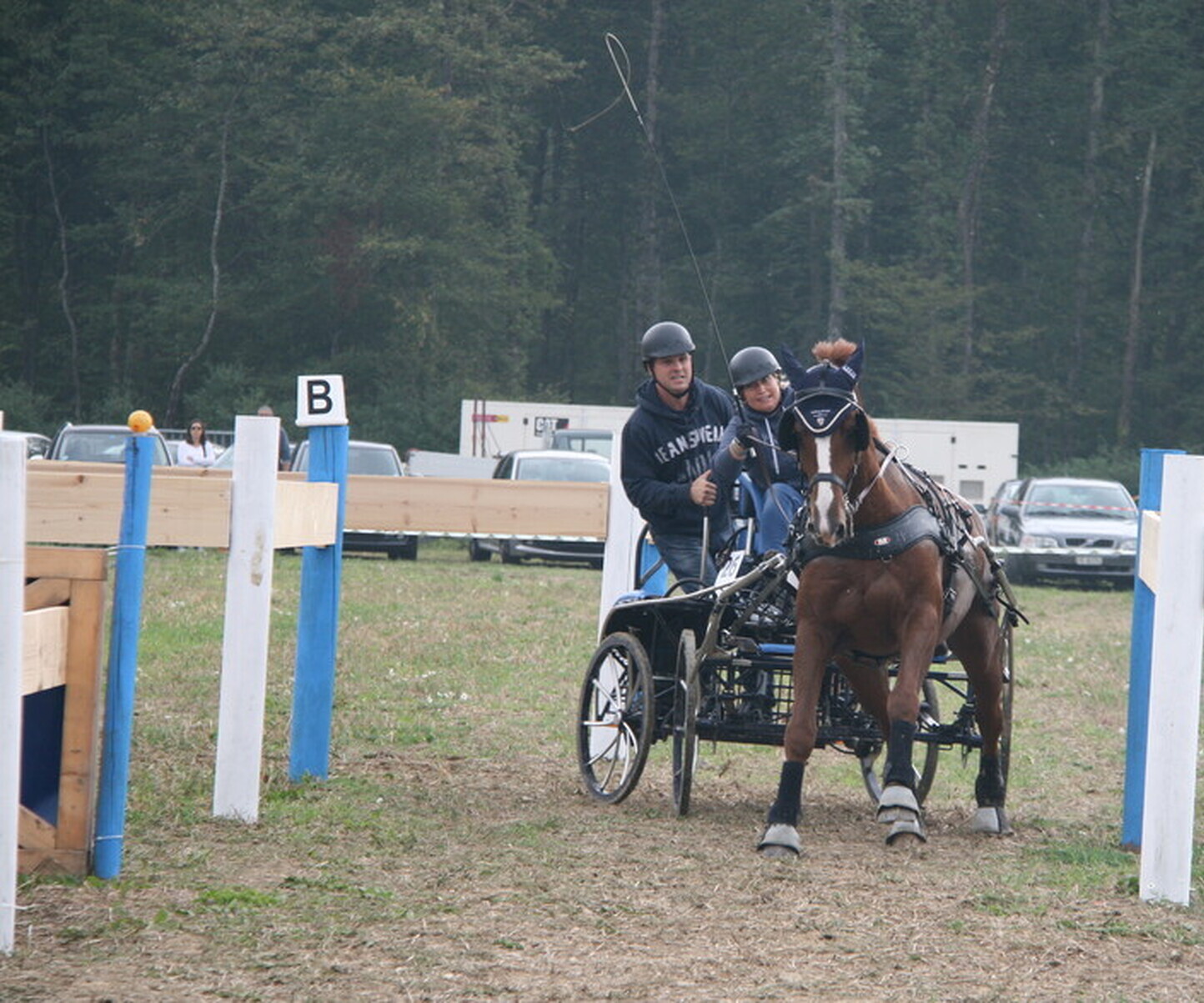 Description de l'image