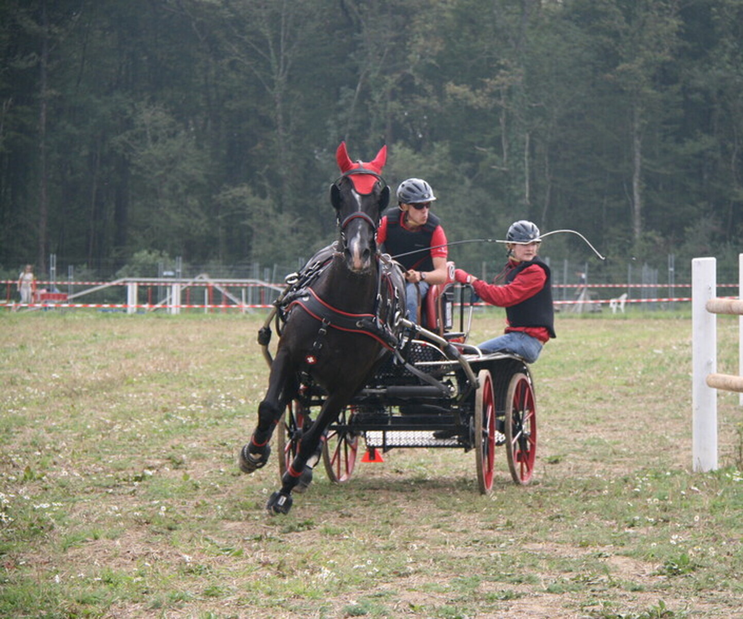 Description de l'image