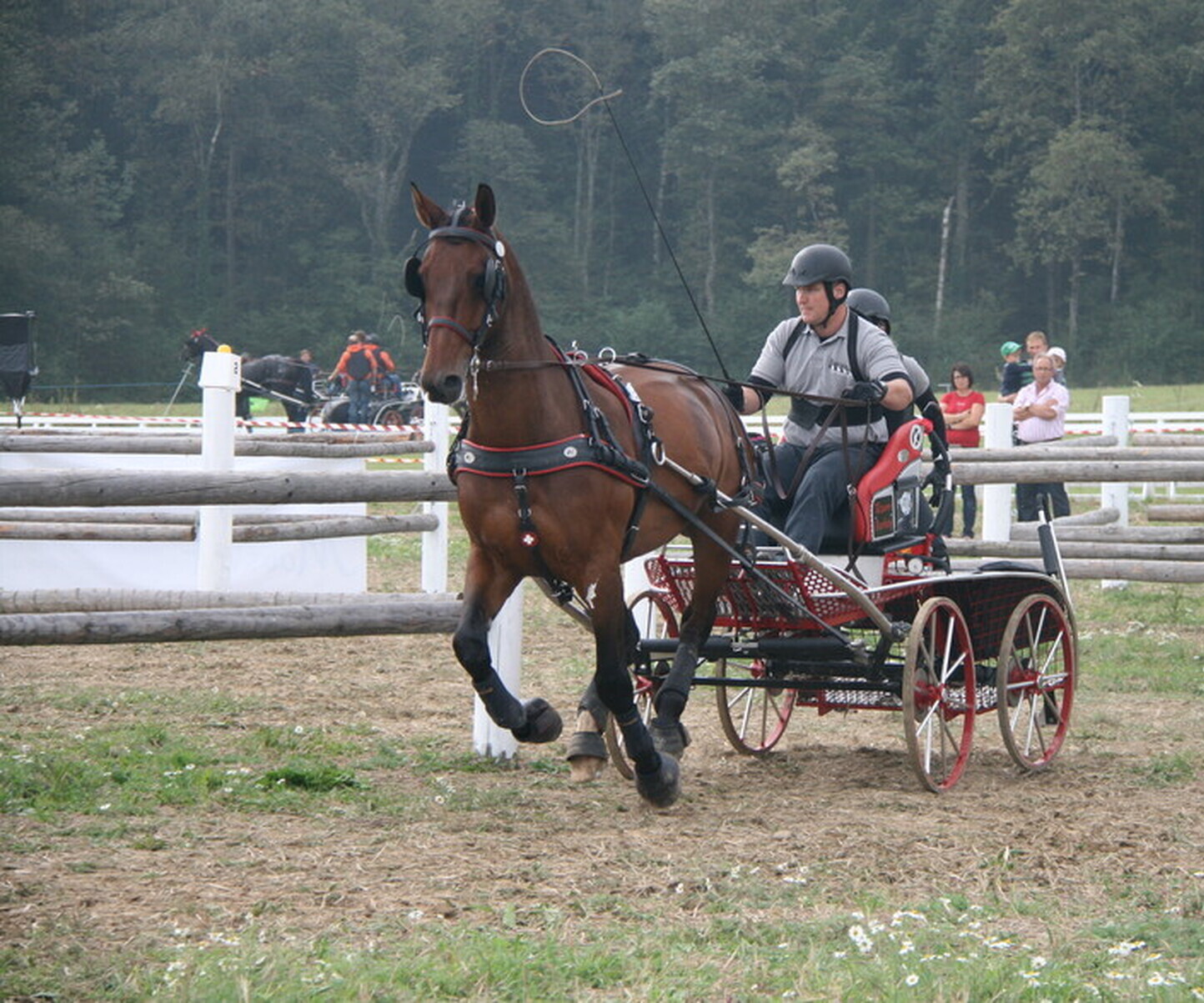 Description de l'image