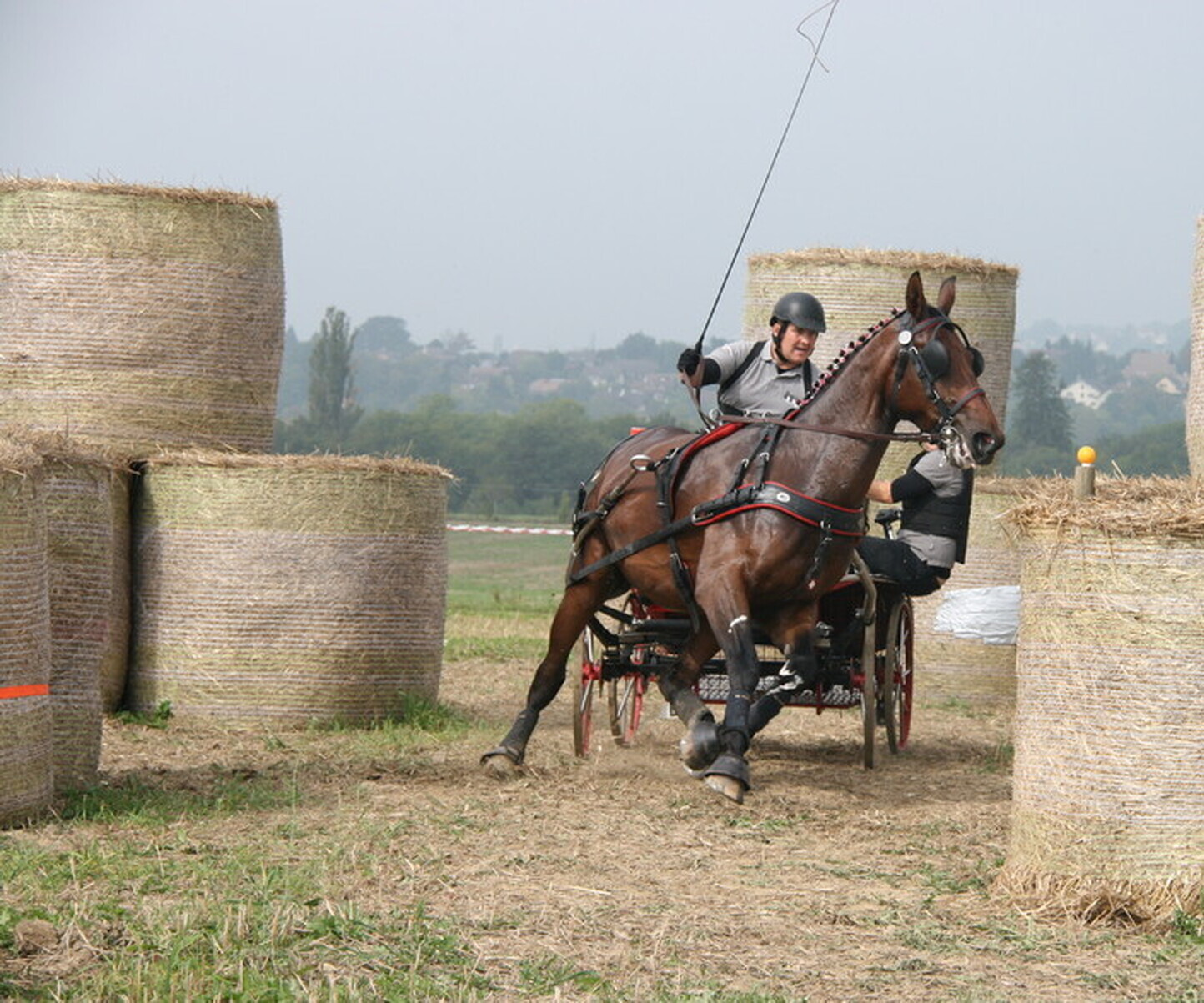 Description de l'image