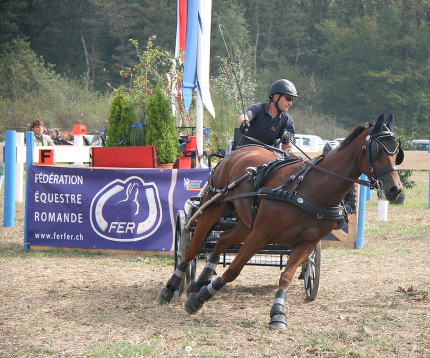 Description de l'image