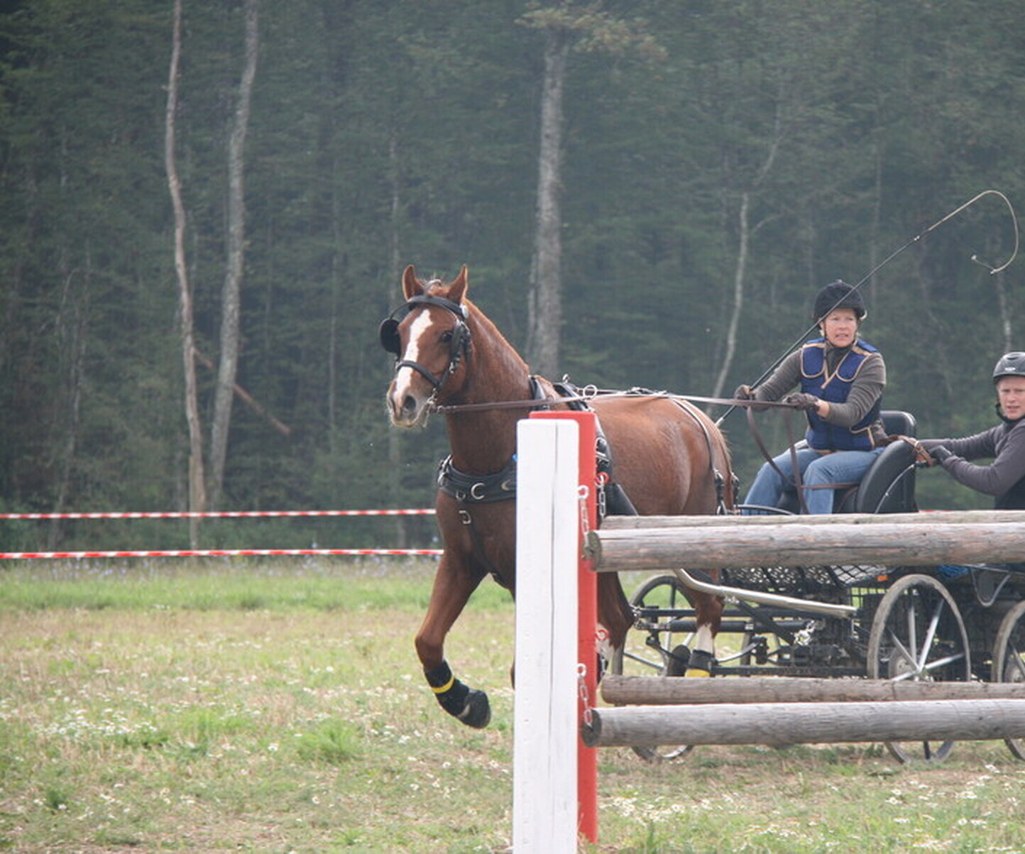 Description de l'image