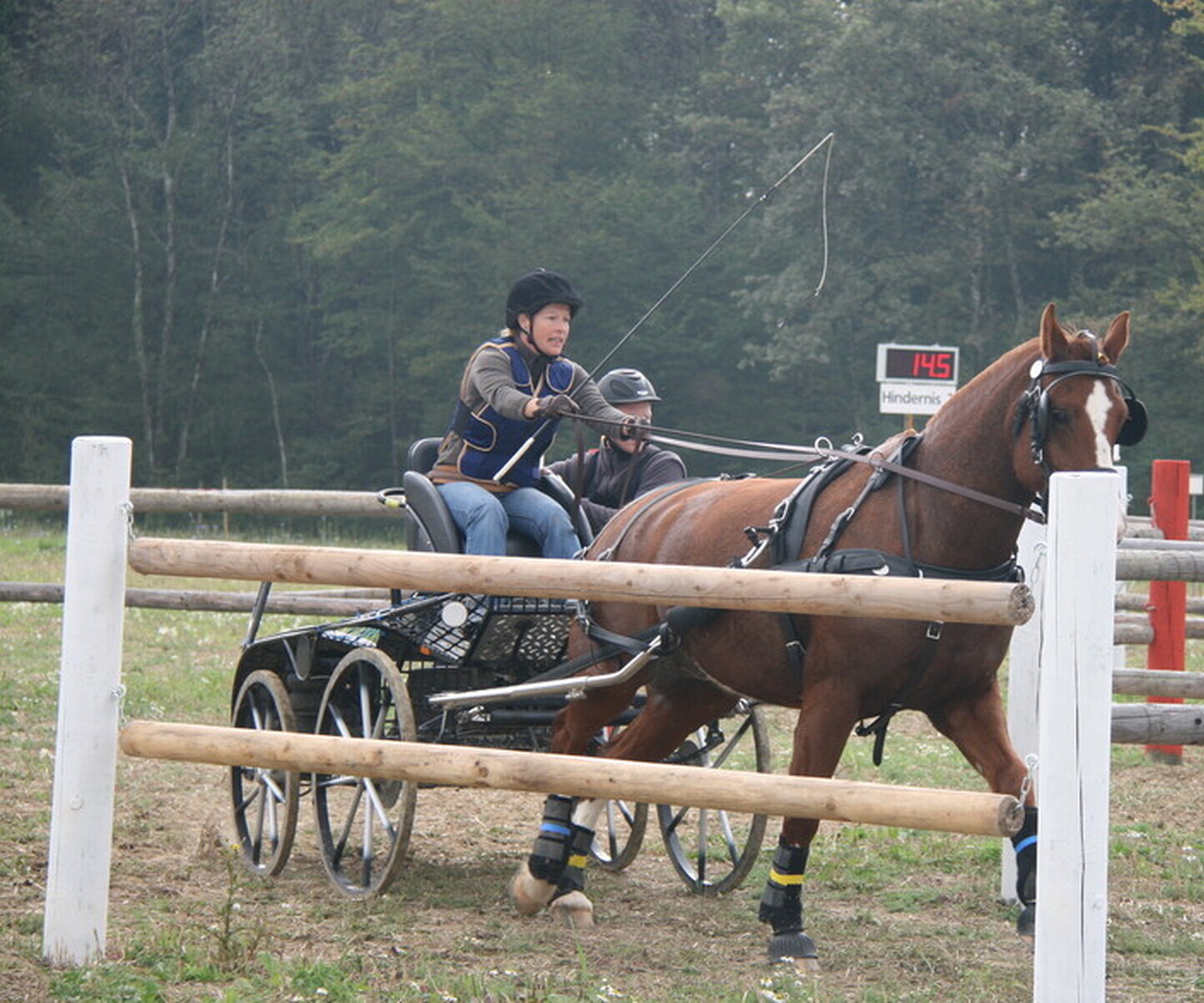 Description de l'image