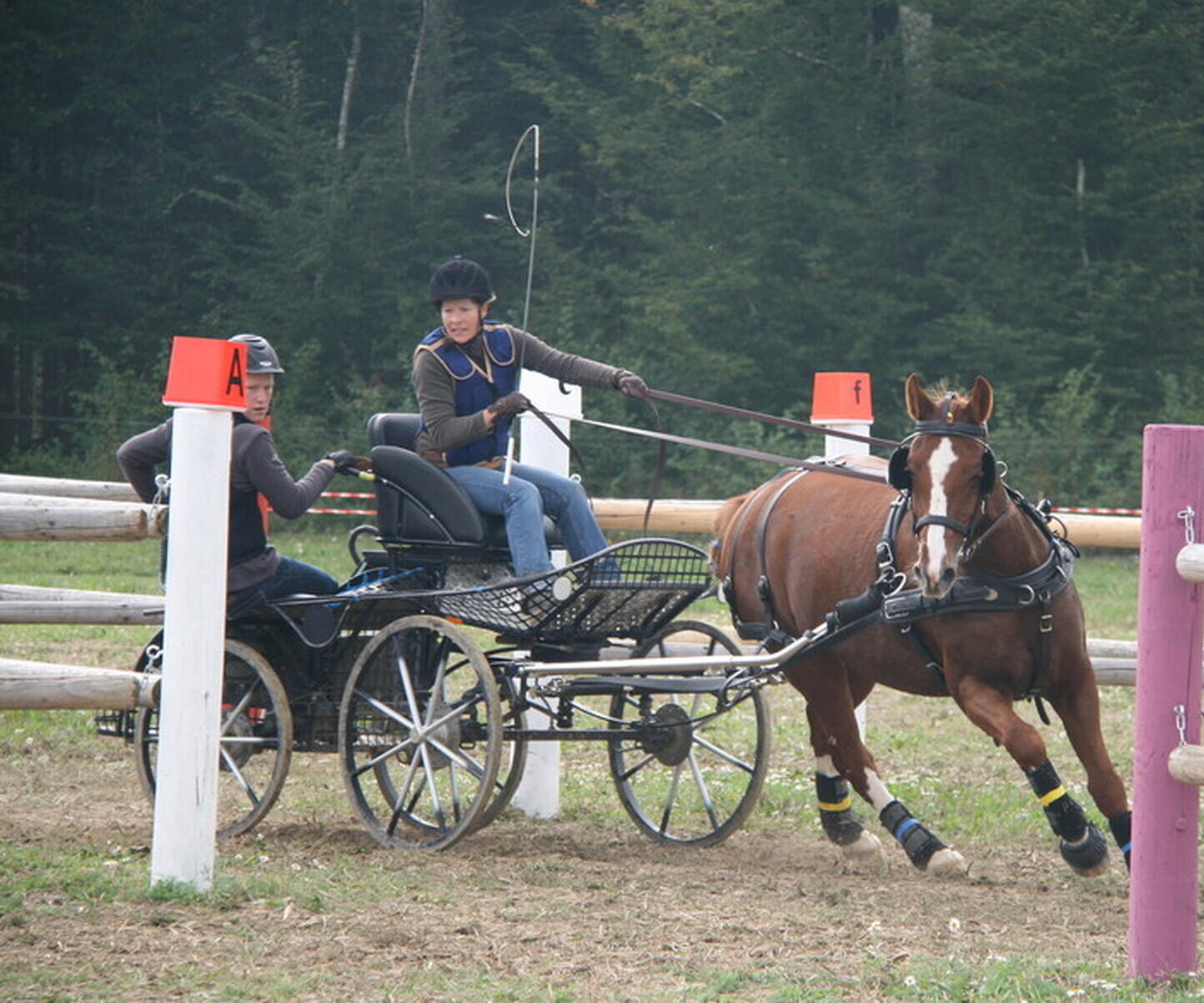 Description de l'image