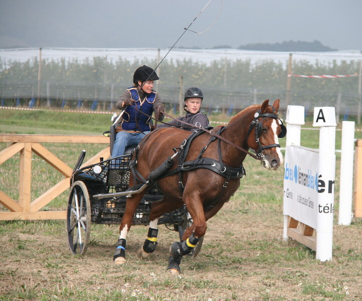 Description de l'image