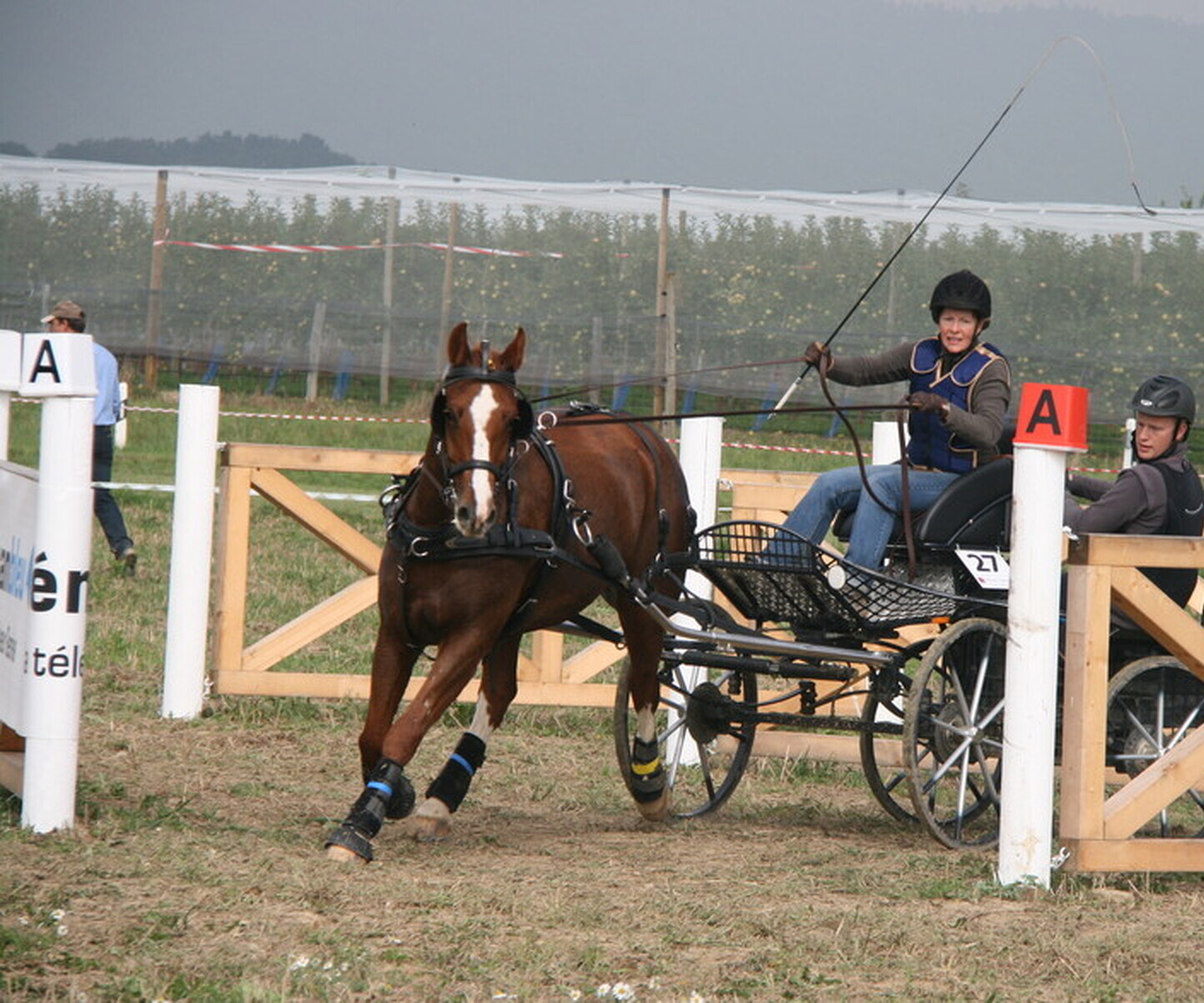 Description de l'image