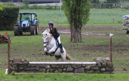 Concours de Saut à Satigny