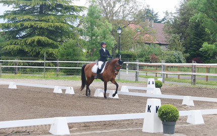 Dressage à Avully