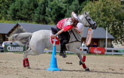 Championnats du monde de Pony Games