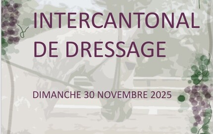 Intercantonal de dressage