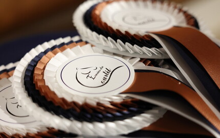 Intercantonal Dressage