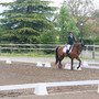 Dressage à Avully