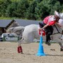 Championnats du monde de Pony Games