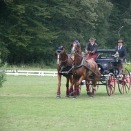 Championnats Suisse d'Attelage à Versoix