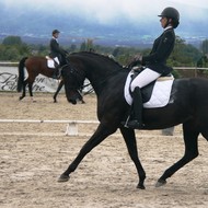 Finales Dressage Hauts de Corsinge