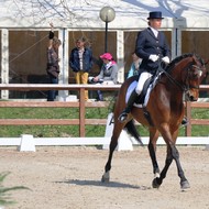 Dressage à Evordes