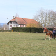 Stage de la FGE à Avenches