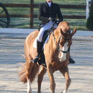 Dressage à Evordes