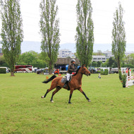 Saut à Satigny