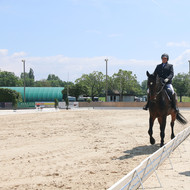 Dressage à Crête