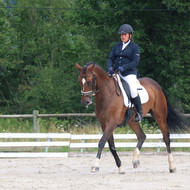 Dressage à Vulbens