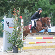 Finale Poney à la Gambade