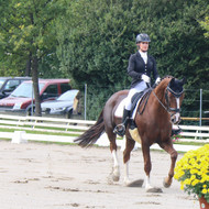 Finales Dressage Degré 2 Onex