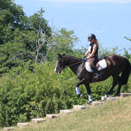 TREC Hauts de Corsinge