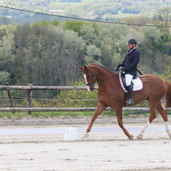 Dressage La Chaumaz 2019