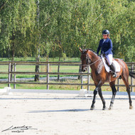 Finales Genevoises de Dressage Vandoeuvres 2019