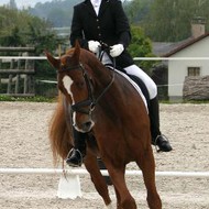 Finale Championnat Dressage GE