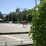 Dressage La Chaumaz 2007