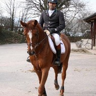 Saut Evordes 2008