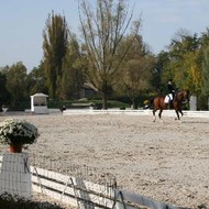 Finales Genevoises de Dressage 2008