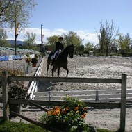 Dressage La Pallanterie 2008