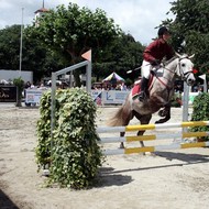 Saut à Meyrin