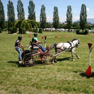 Attelage Satigny