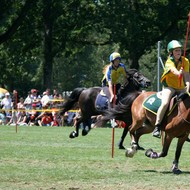 Poney Games Onex