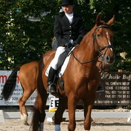Finales Genevoises de Dressage Onex 2011