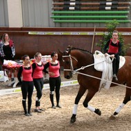 Voltige Evordes 2011