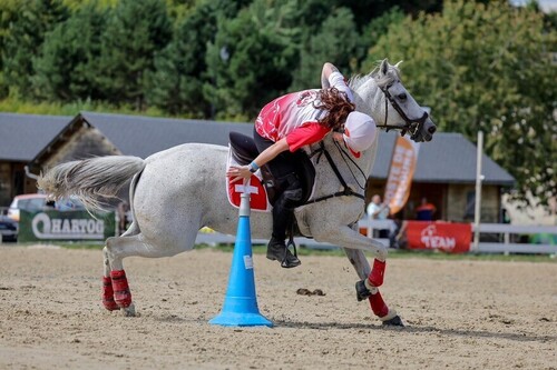 pony